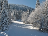 Пампорово - горные лыжи в Болгарии.
